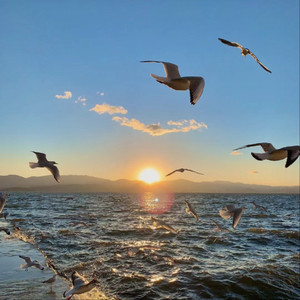 商品图营销小鸡导航
