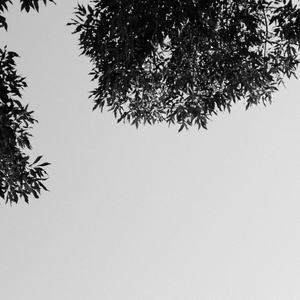 商品图营销小鸡导航
