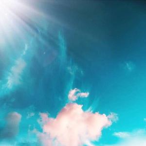 商品图营销小鸡导航
